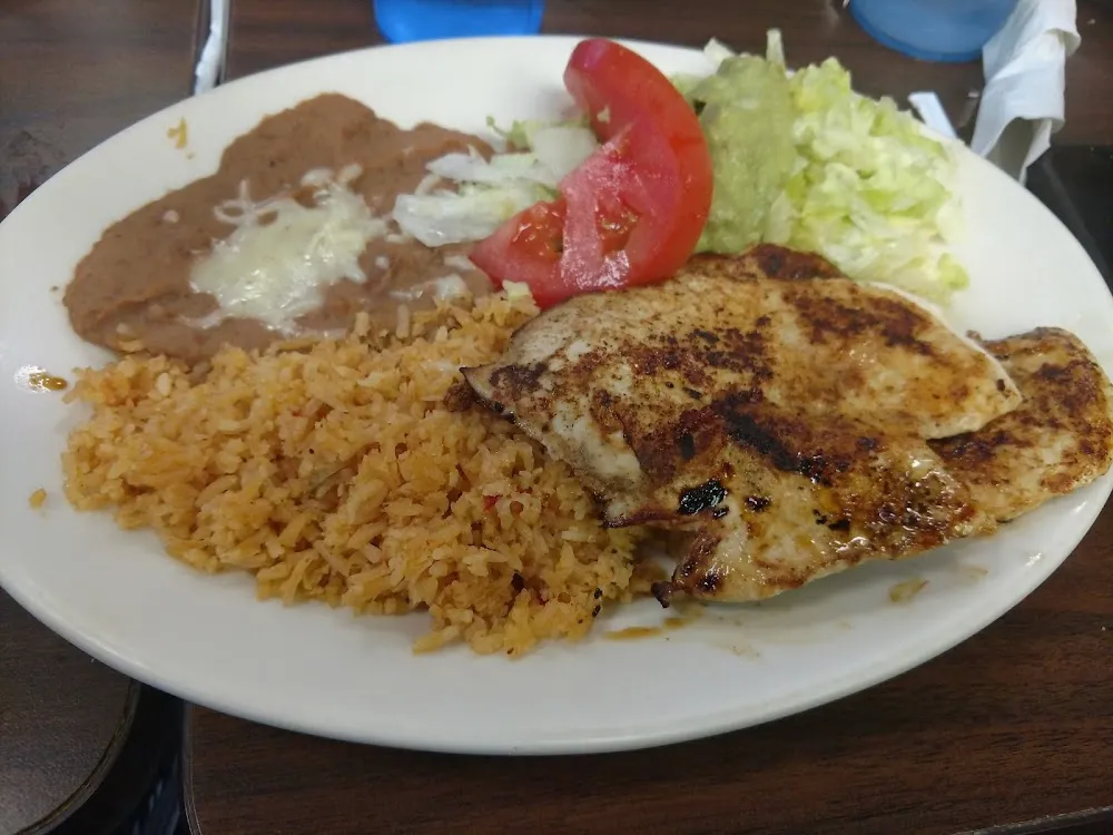 Chicken Breast Rice and Salad